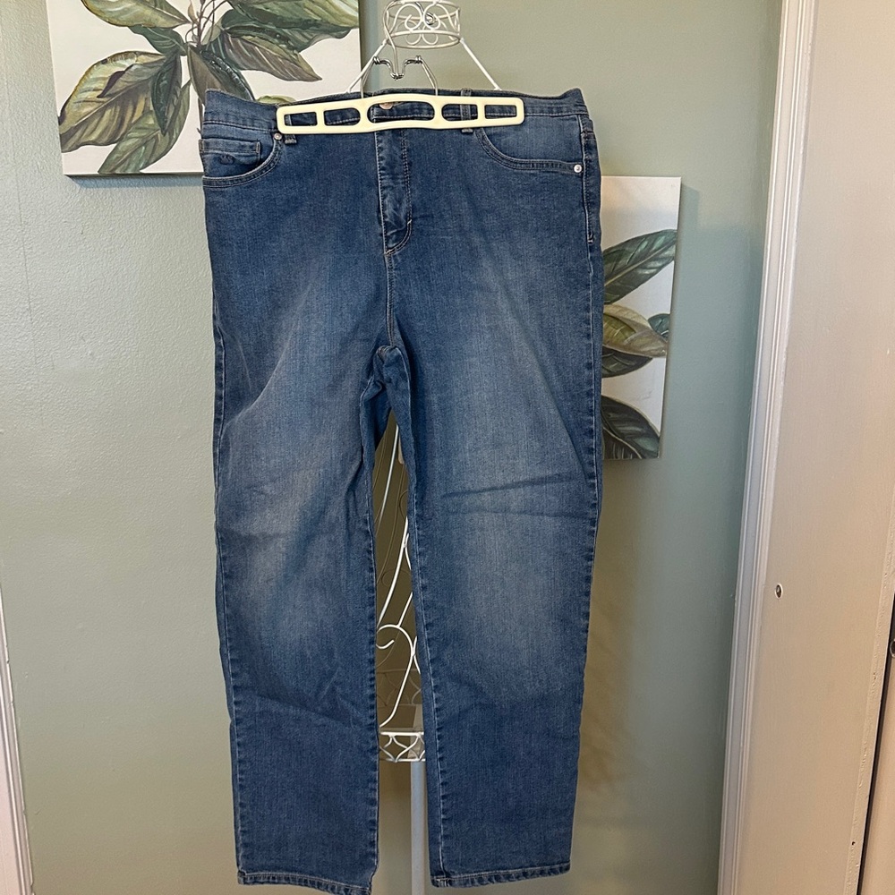 Gloria Vanderbilt Men's Denim Jeans